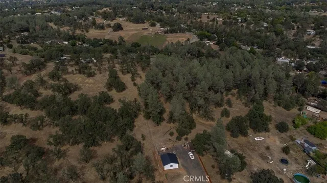 a view of a forest with trees in the background