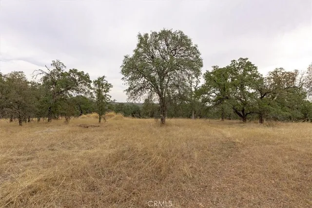 a view of dirt field with trees in background