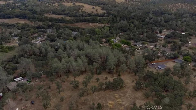 a view of a forest with a houses