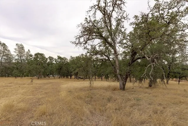 a view of open space with trees