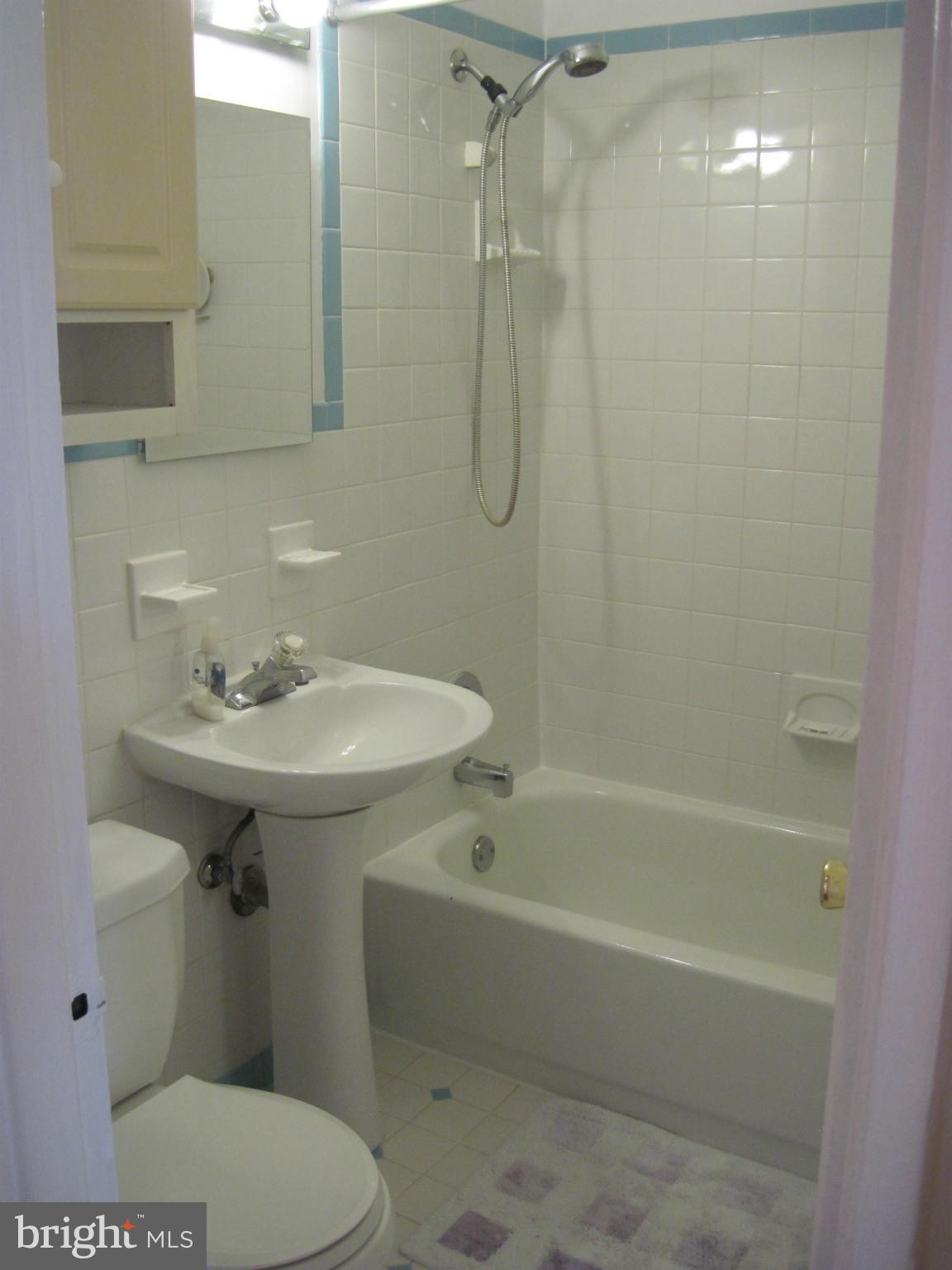 3316 Camden Street Silver Spring, MD 20902 - Photo 19 of 28 Full Bath