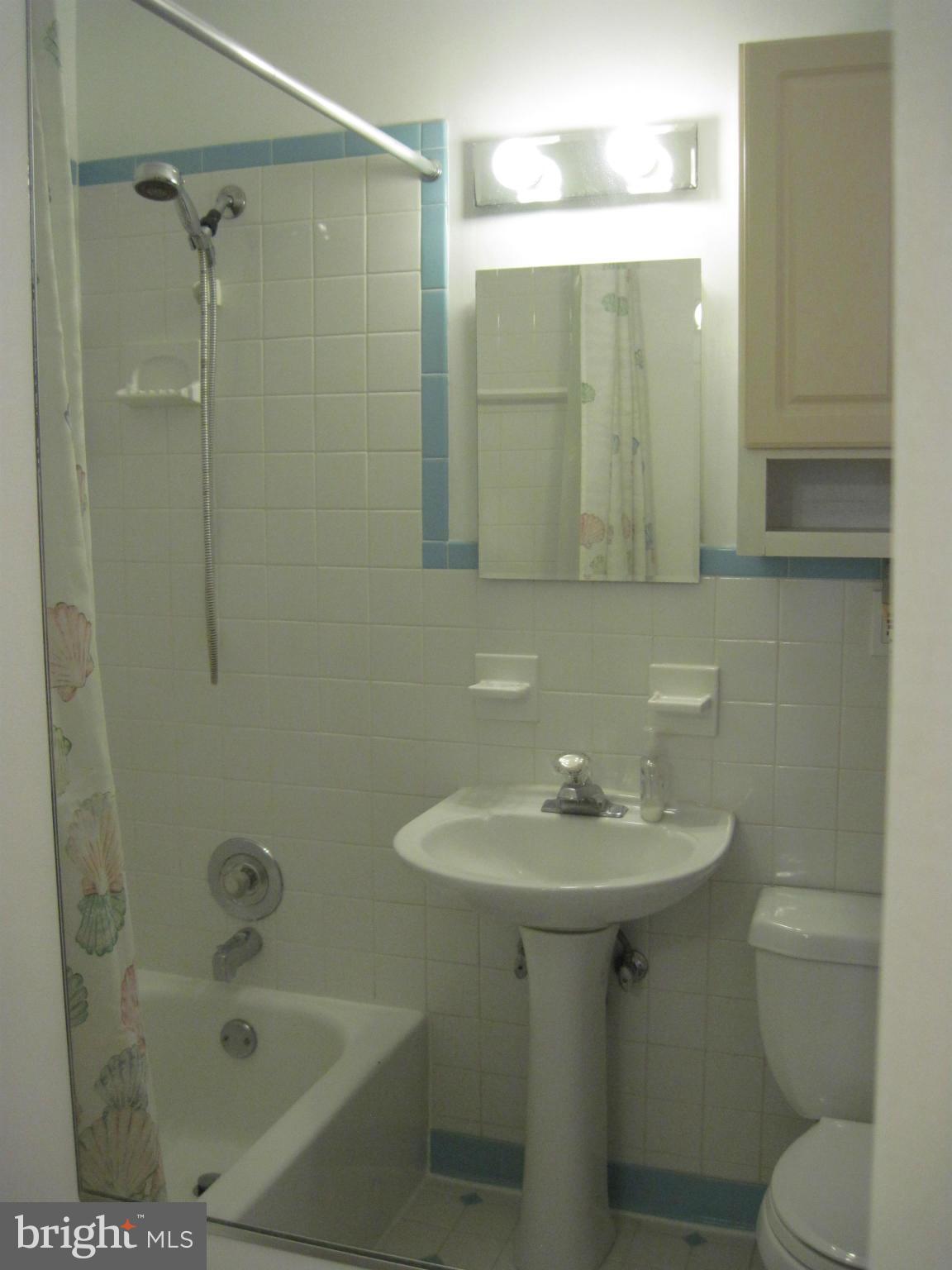 3316 Camden Street Silver Spring, MD 20902 - Photo 23 of 28 Full Bath