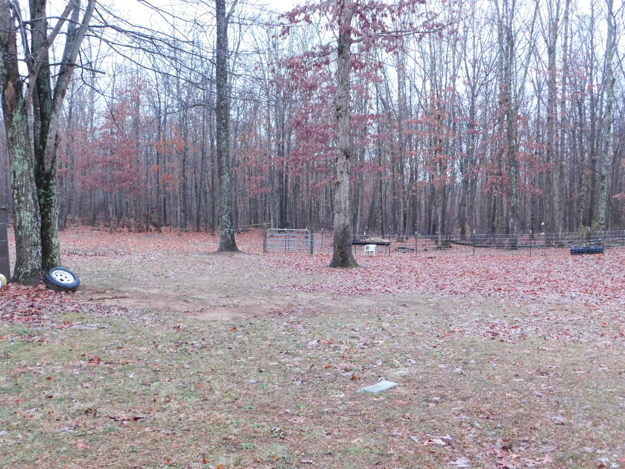 1151 Kerley Road Rd Spring Spring City, TN 37381 - Photo 6 of 38 Gallery Image 6