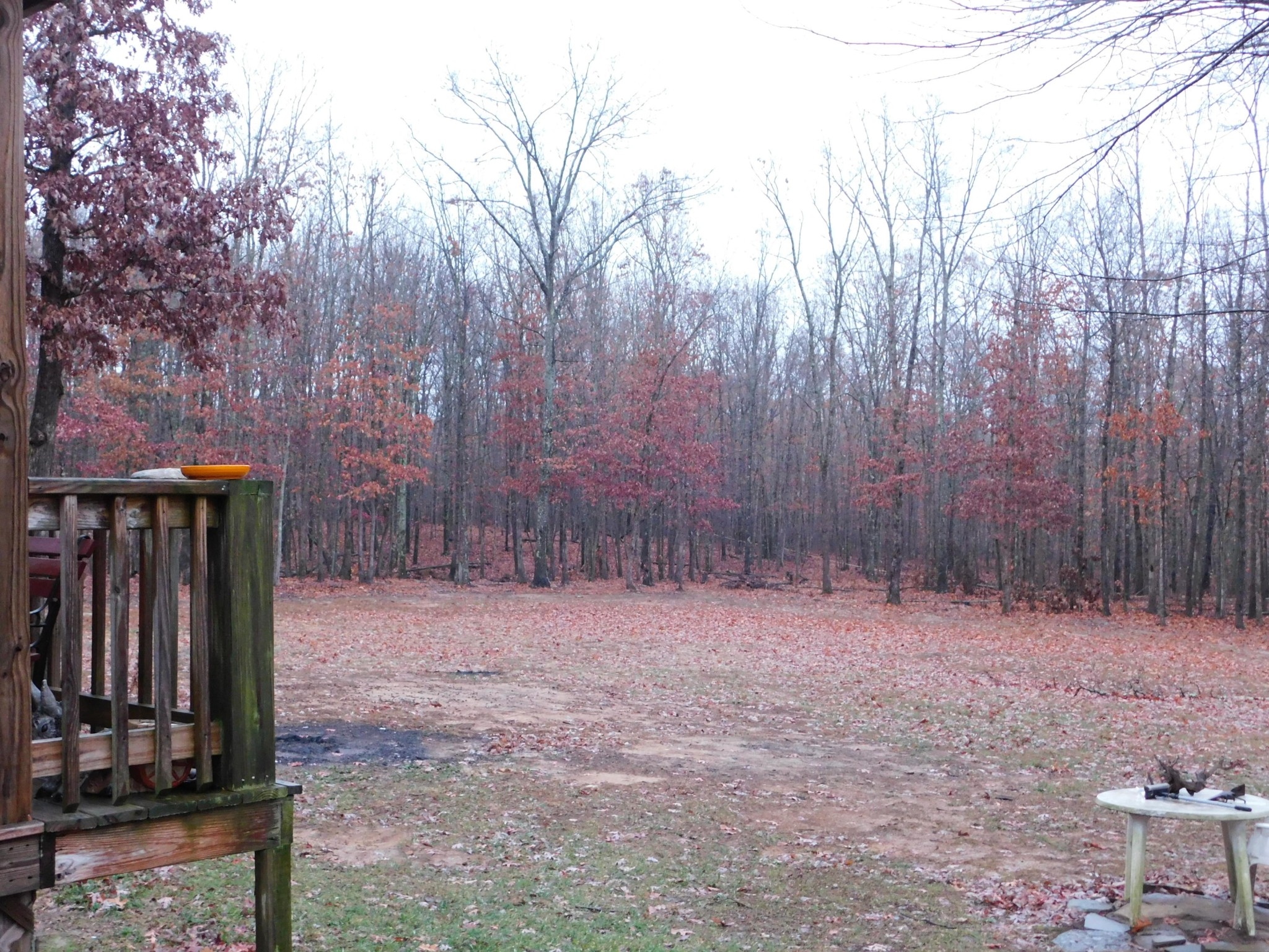 1151 Kerley Road Rd Spring Spring City, TN 37381 - Photo 7 of 38 Gallery Image 7