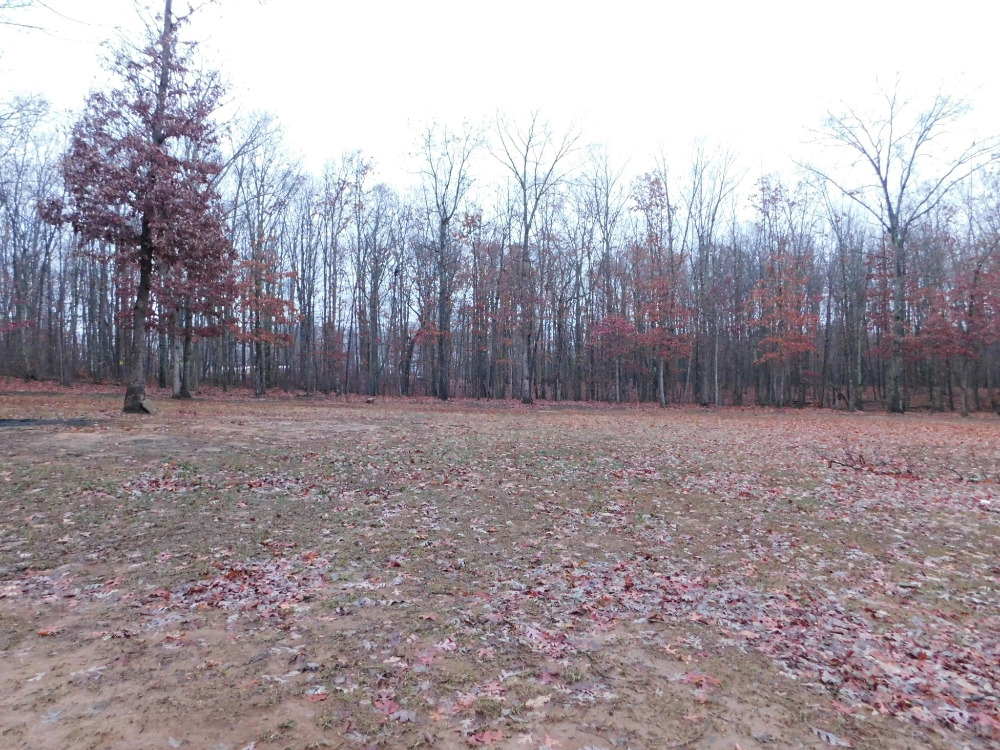 1151 Kerley Road Rd Spring Spring City, TN 37381 - Photo 10 of 38 Gallery Image 10