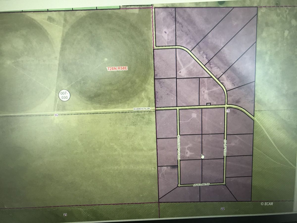 Lot 4 Overland Street Ruby Valley, NV 89833 - Photo 2 of 2