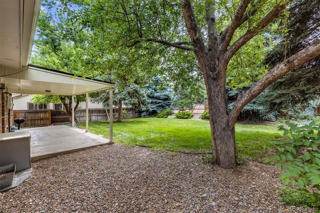 a view of a yard with a tree in the park
