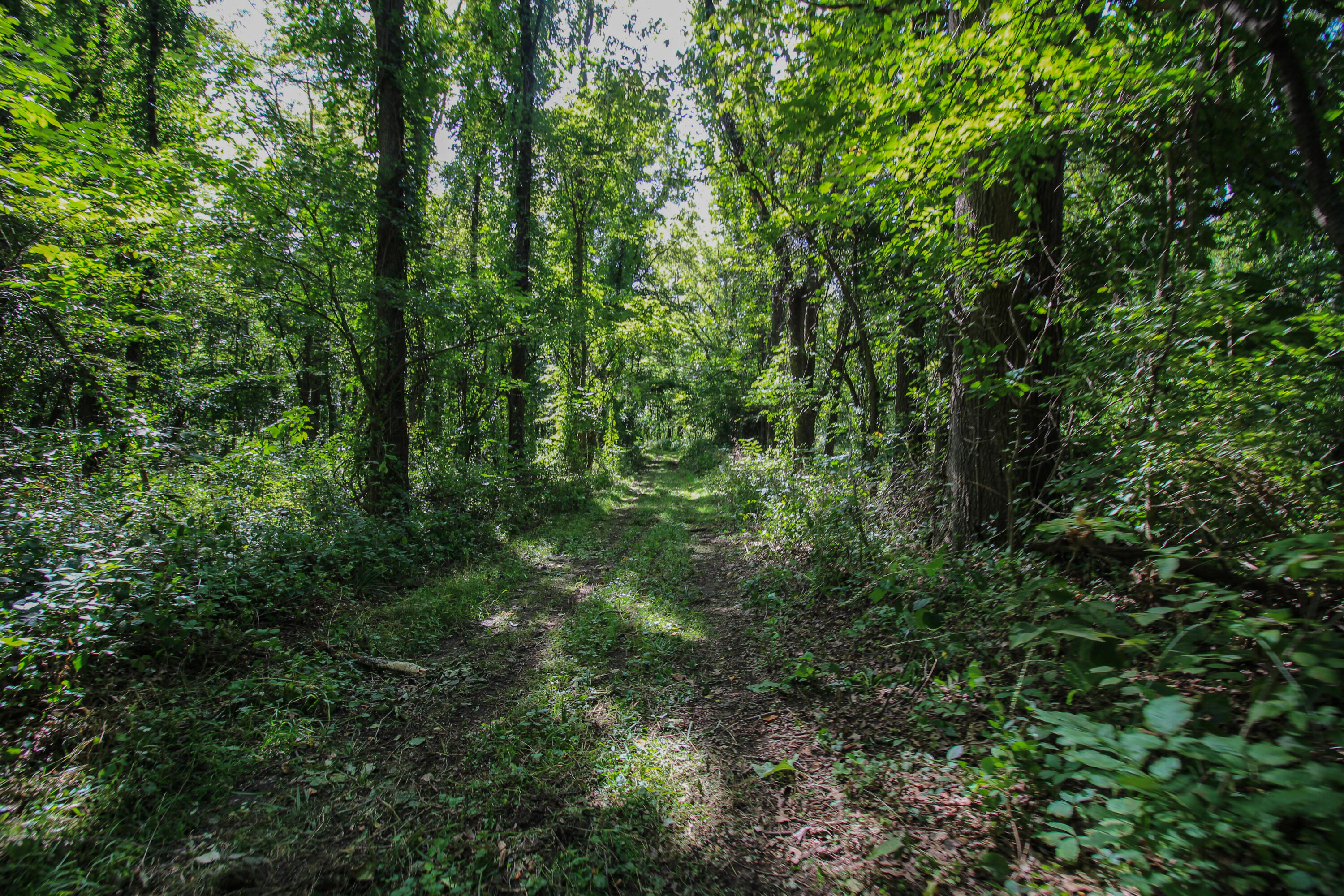 Three Millard Road Three Rivers, MI 49093 - Photo 1 of 19 Millard-13