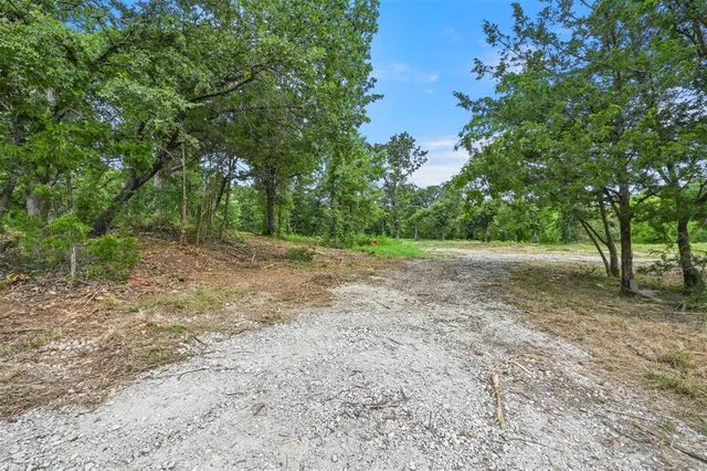 a view of a field with trees in the background