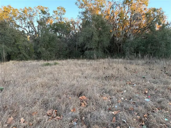 a view of small yard with large trees