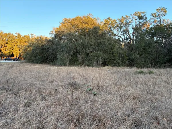 a view of a dry yard