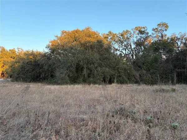 a view of back yard with green space
