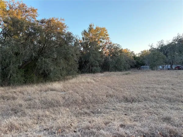 a view of a field with trees in background