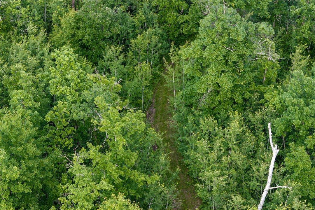 Tbd Mitchell Road Nisswa, MN 56468 - Photo 15 of 22