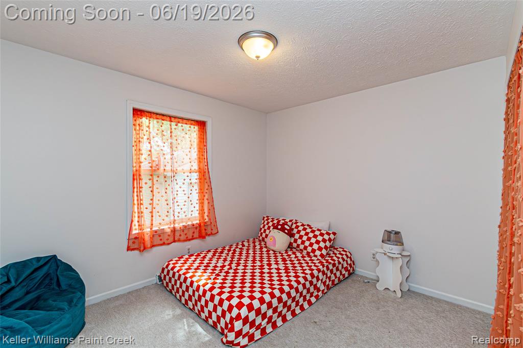 282 Clinton Street Romeo, MI 48065 - Photo 30 of 48