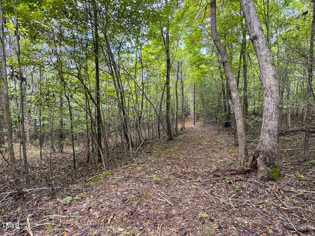 Lot-8-00 Wilson Road Providence, NC 27315 - Photo 27 of 45 Caswell Co. NC 16.55-Backwoods-Lot 8-27
