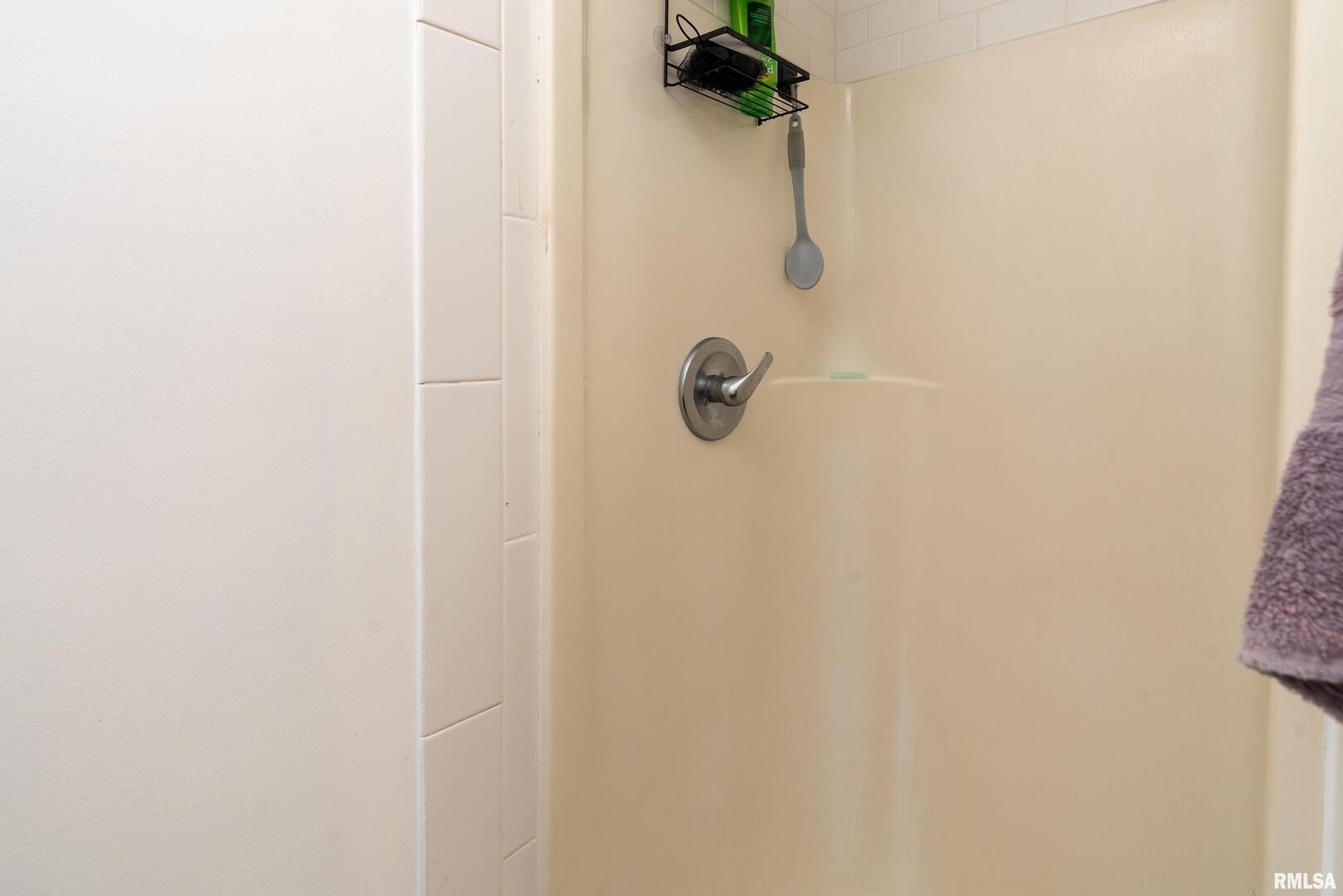 10543 Highway 149 Murphysboro, IL 62966 - Photo 37 of 54 a bathroom with a shower