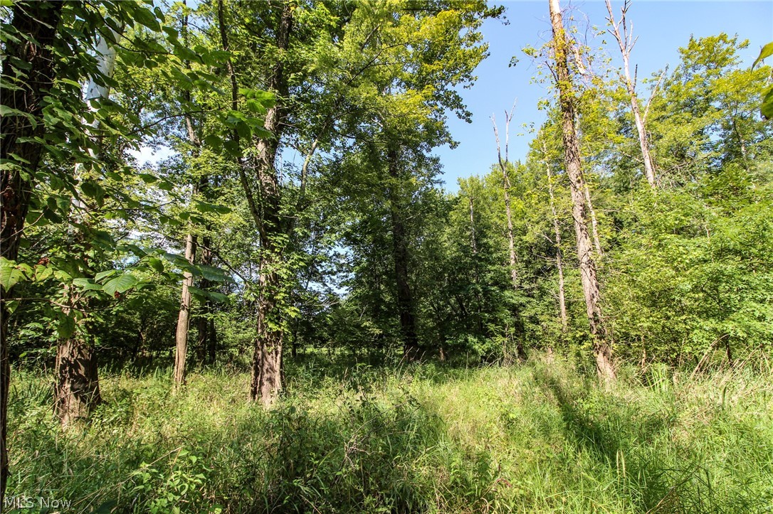 0 Byesville Road Cambridge, OH 43725 - Photo 6 of 19 Gallery Image 6