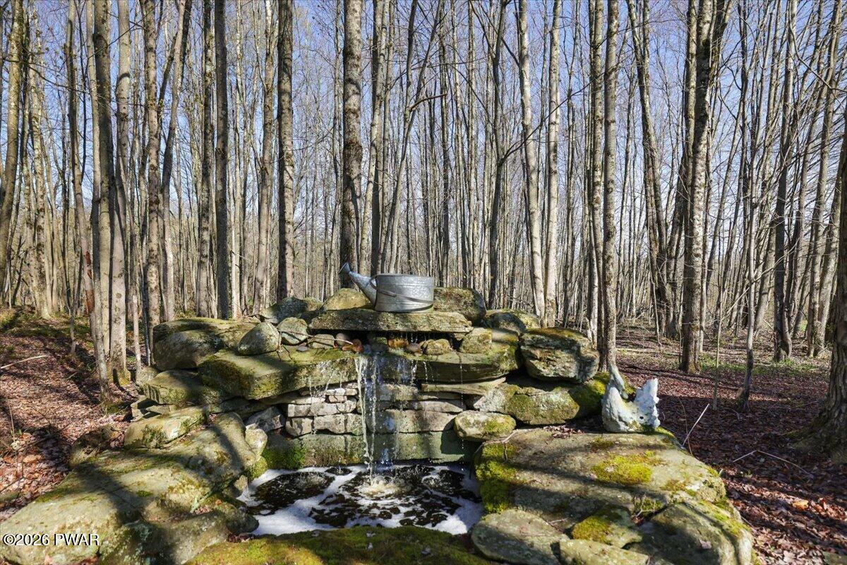 103 Como Road Lakewood, PA 18439 - Photo 57 of 71