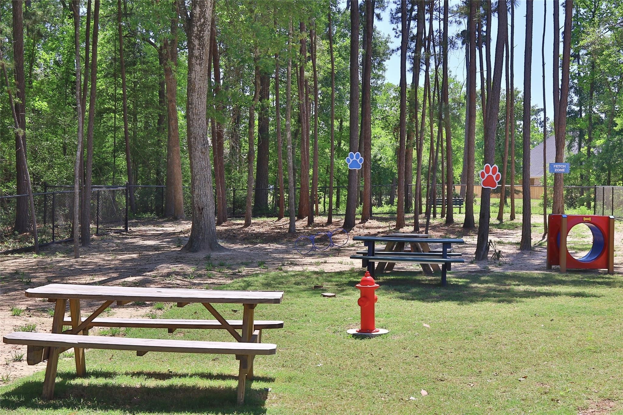 828 Coleto Run Conroe, TX 77304 - Photo 40 of 44