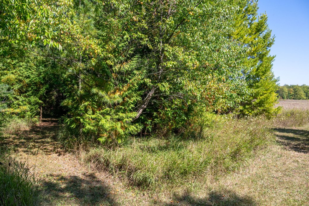 Lot 6 Wildwood Road Ellison Bay, WI 54210 - Photo 39 of 55