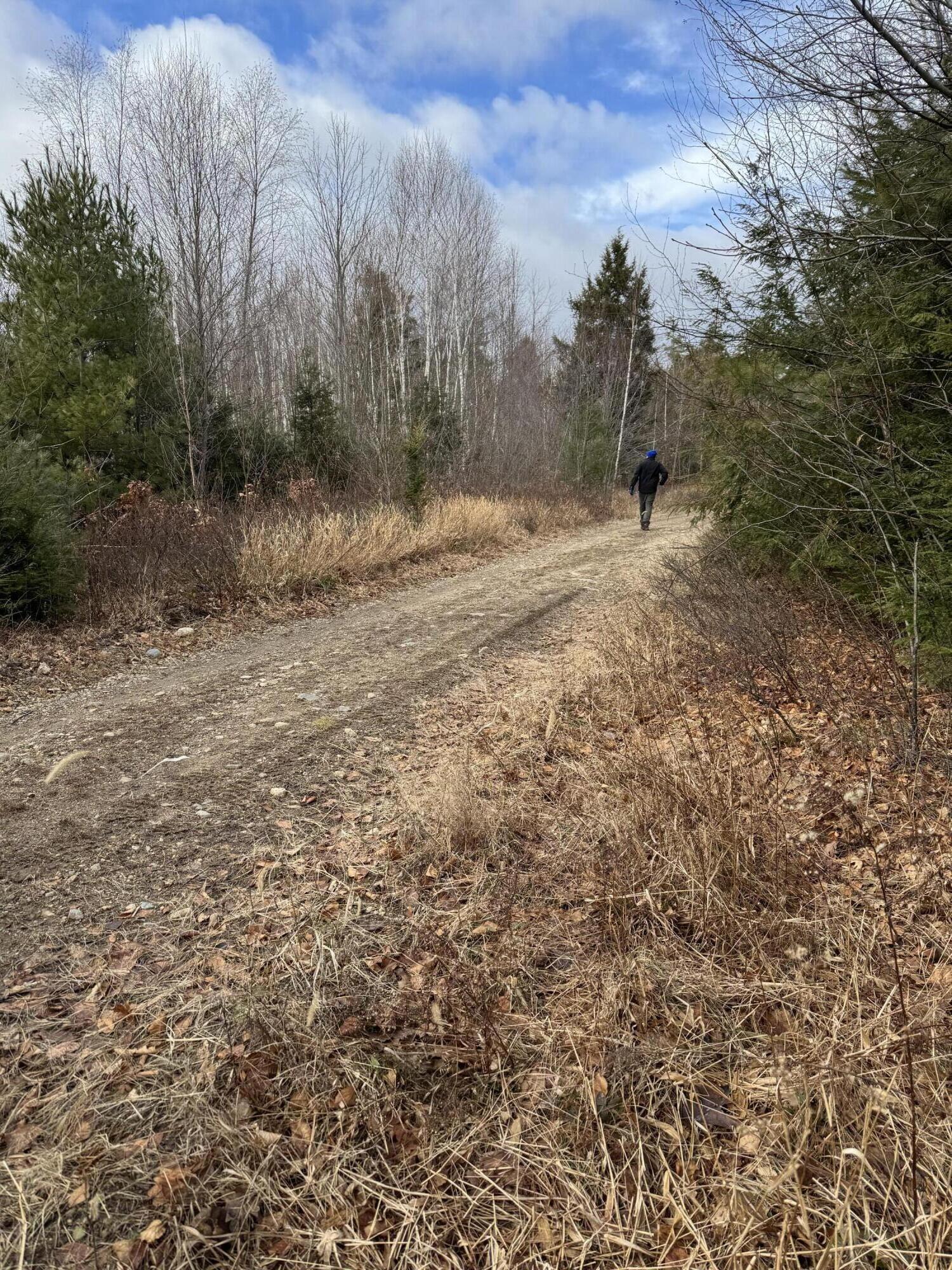 Lot 650 Gebung Road Alfred, ME 04002 - Photo 15 of 23 IMG_0912