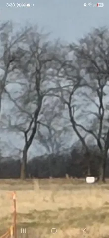 a view of swimming pool with an outdoor space