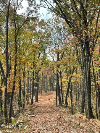 $100,000 | 150 Timber Oaks Lane, Pioneer, TN 37847