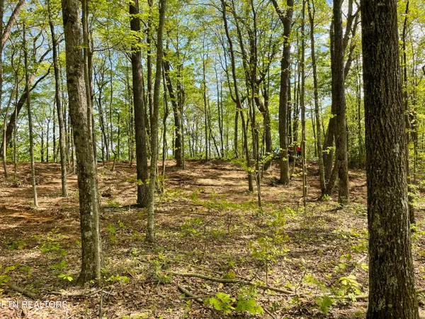 $100,000 | 150 Timber Oaks Lane, Pioneer, TN 37847