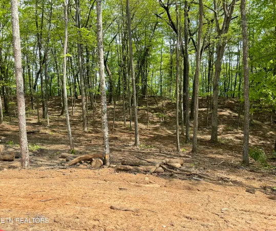 $100,000 | 150 Timber Oaks Lane, Pioneer, TN 37847