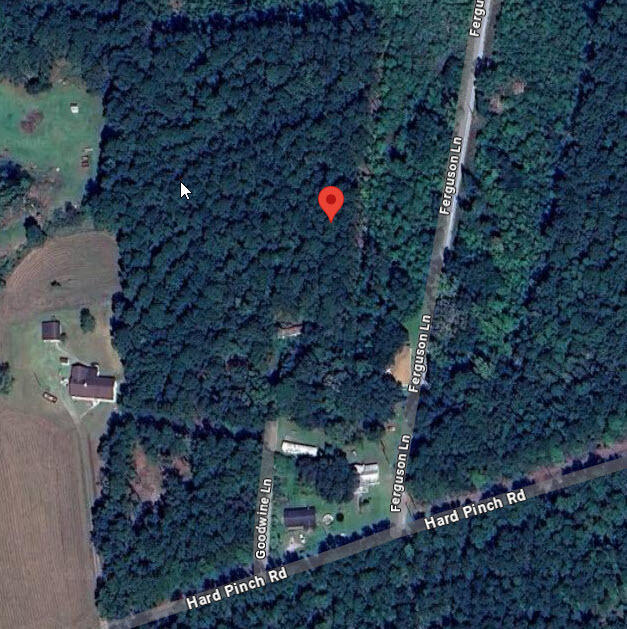314 Goodwine Lane Moncks Corner, SC 29461 - Photo 4 of 4 Google