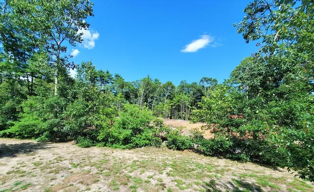 a view of a yard with a tree