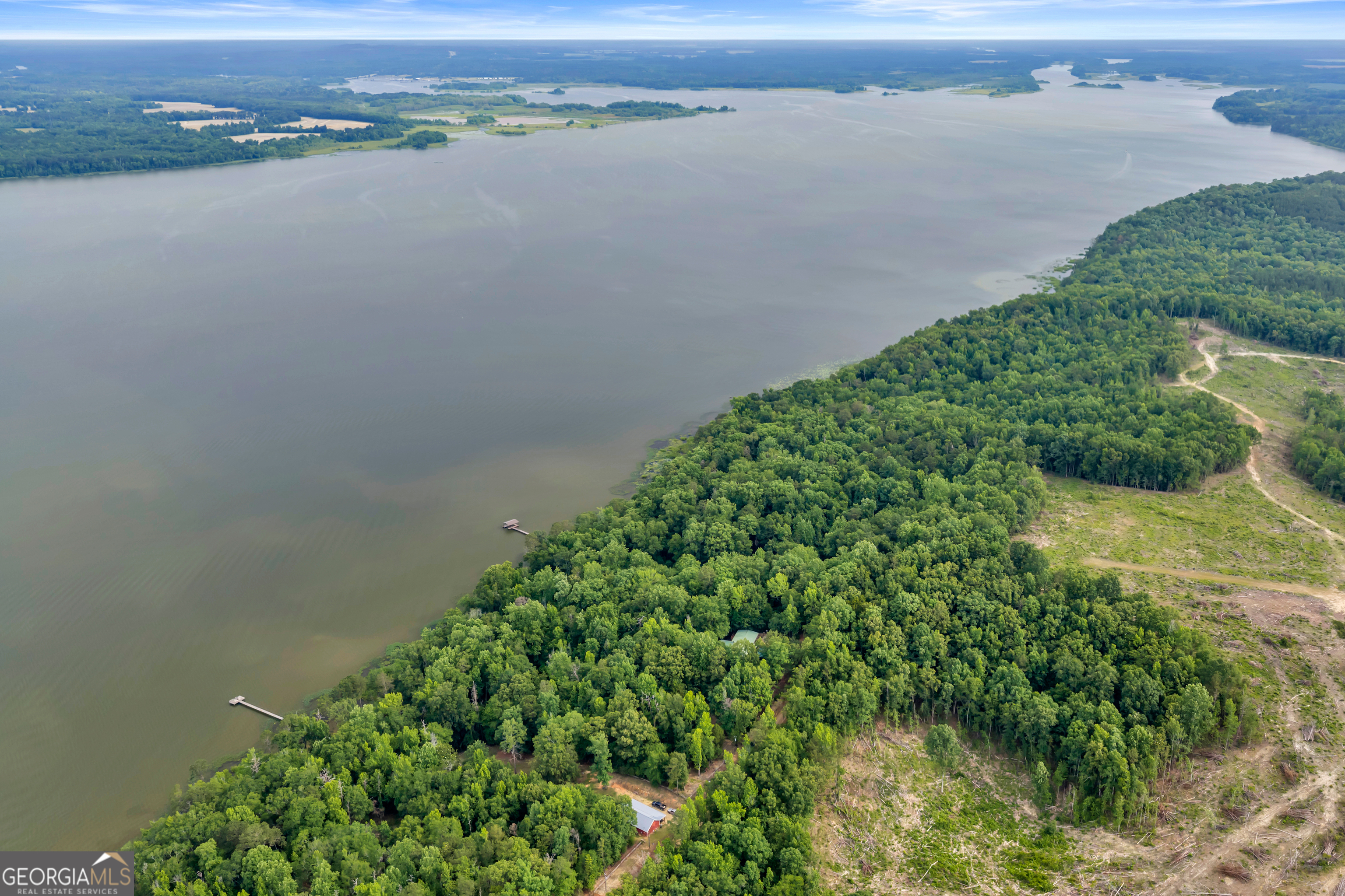473 Vining Branch Road Georgetown, GA 39854 - Photo 11 of 43 a view of a lake with a mountain