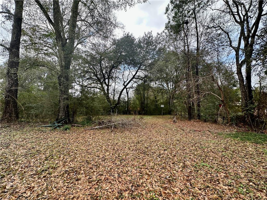 27399 Tag A Long Road Lacombe, LA 70445 - Photo 7 of 18 Gallery Image 7