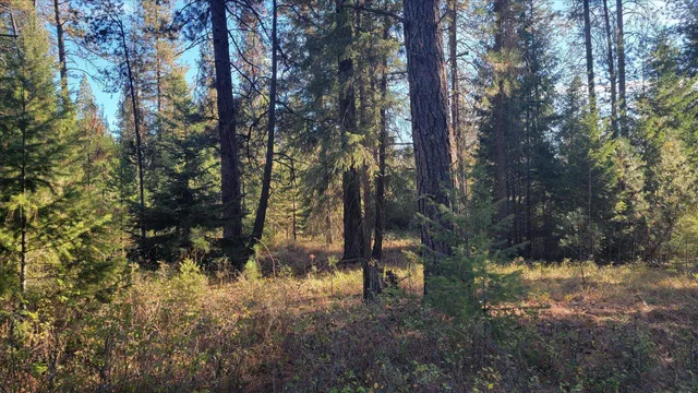 $185,000 | 1-xxx Spring Valley Road, Newport, WA 99156