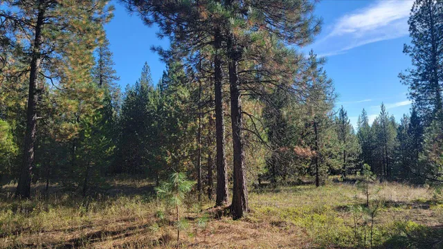 $185,000 | 1-xxx Spring Valley Road, Newport, WA 99156