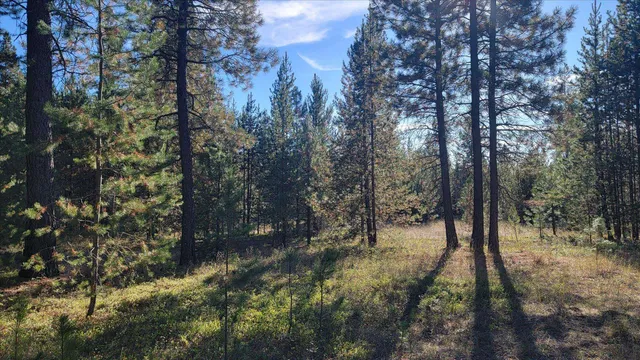 $185,000 | 1-xxx Spring Valley Road, Newport, WA 99156