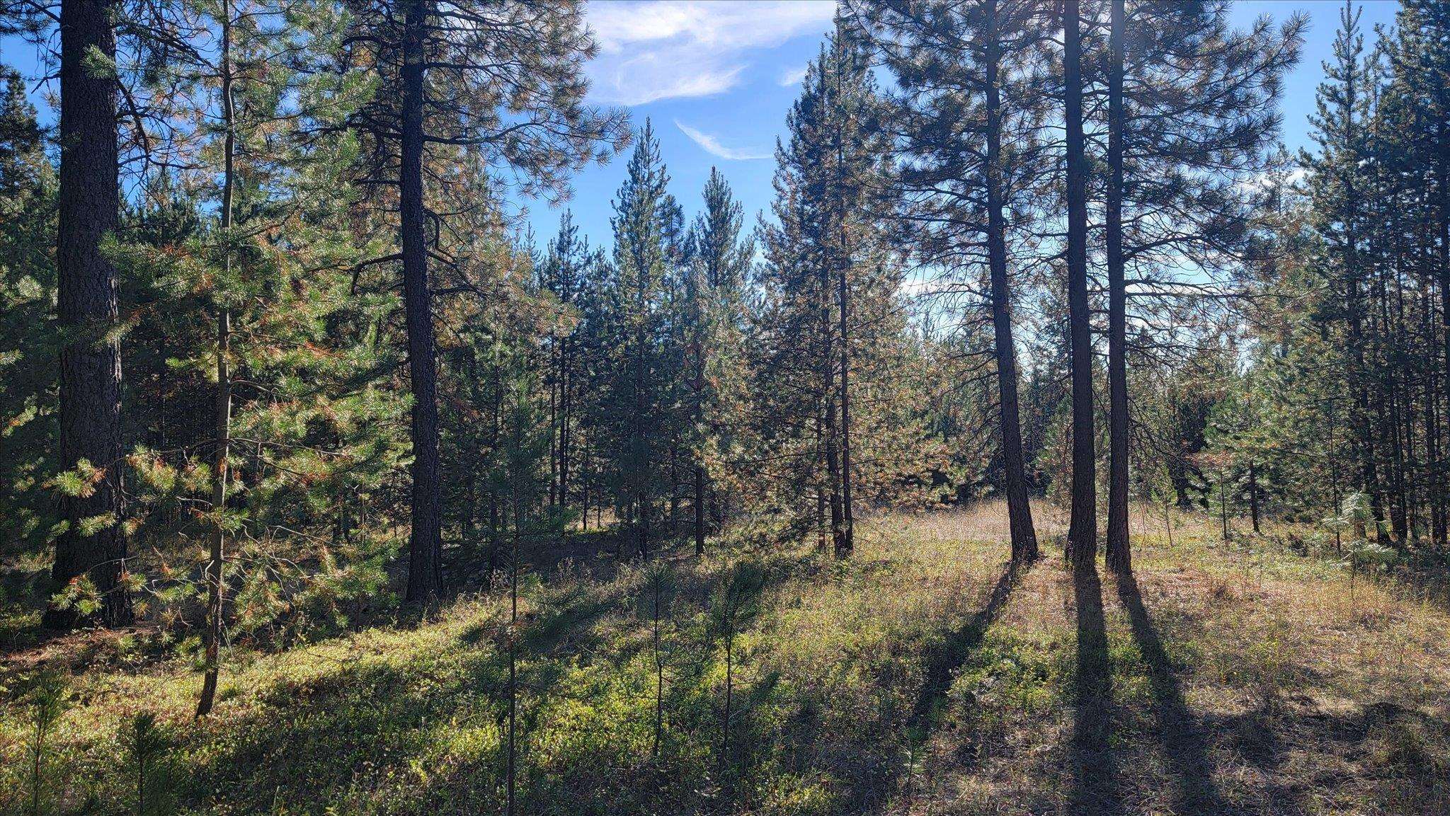 1-xxx Spring Valley Road Newport, WA 99156 - Photo 17 of 43