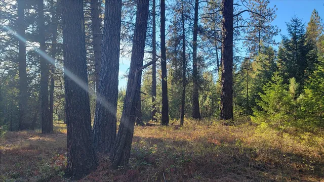 $185,000 | 1-xxx Spring Valley Road, Newport, WA 99156