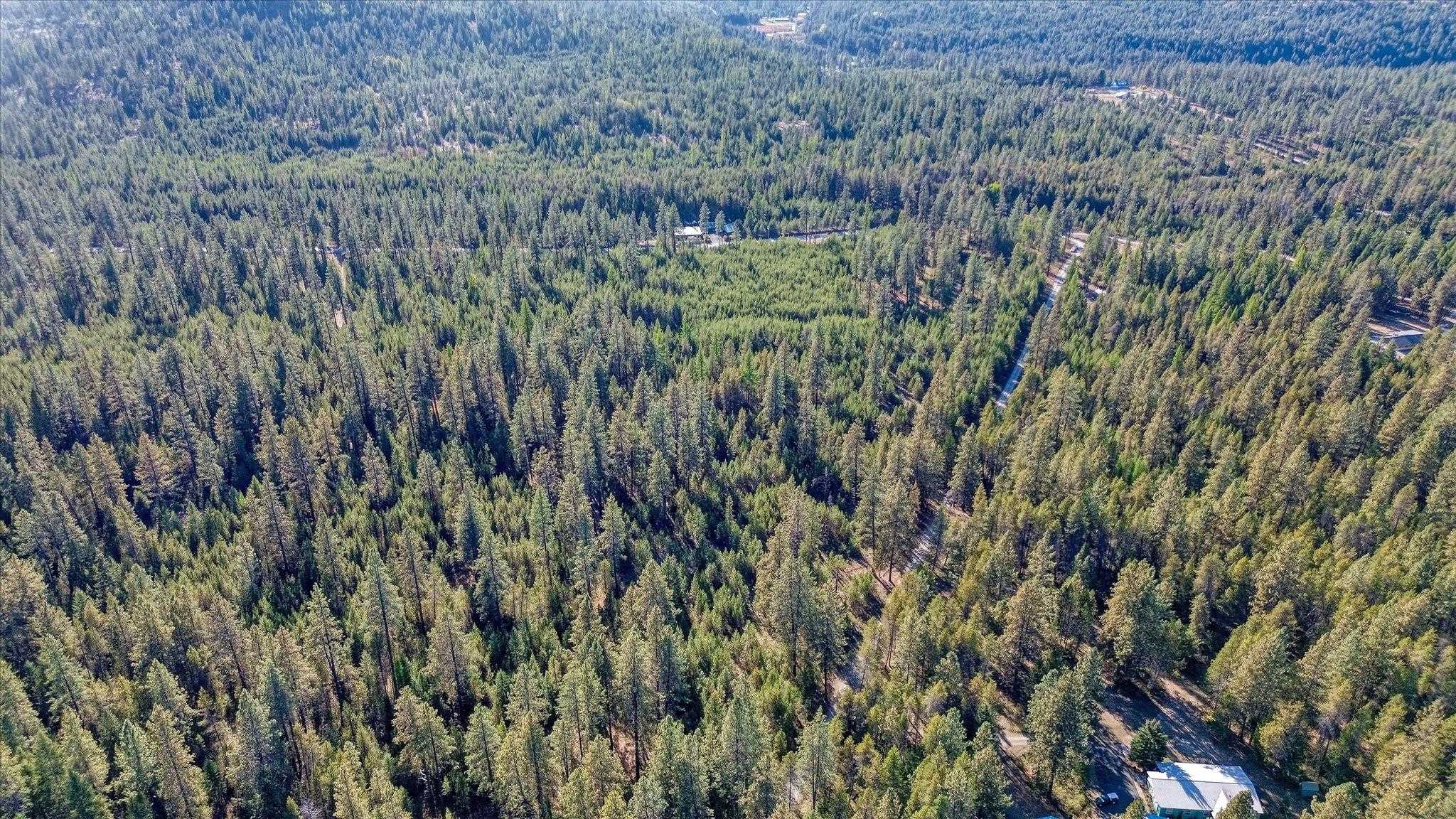 1-xxx Spring Valley Road Newport, WA 99156 - Photo 38 of 43