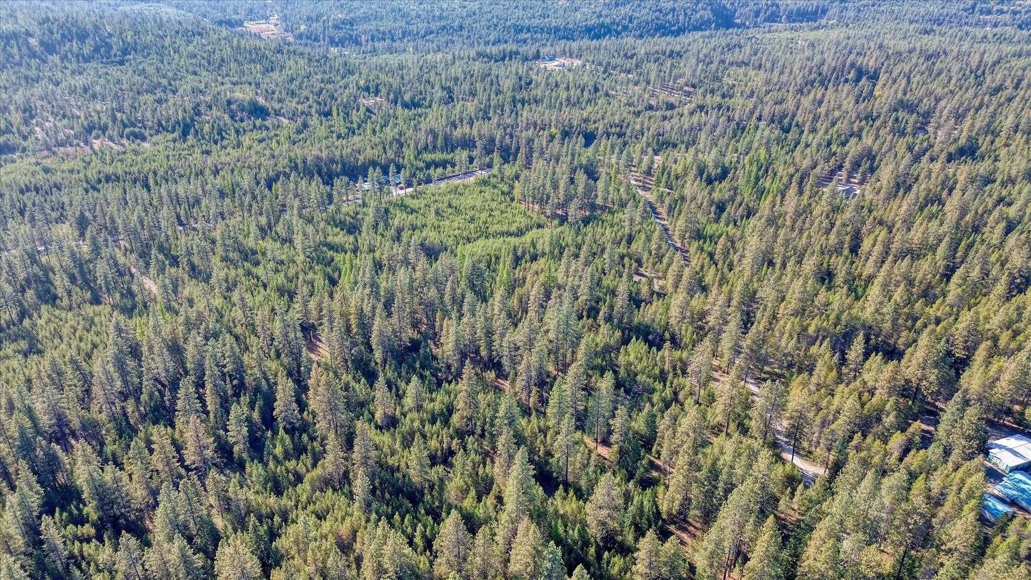 1-xxx Spring Valley Road Newport, WA 99156 - Photo 39 of 43