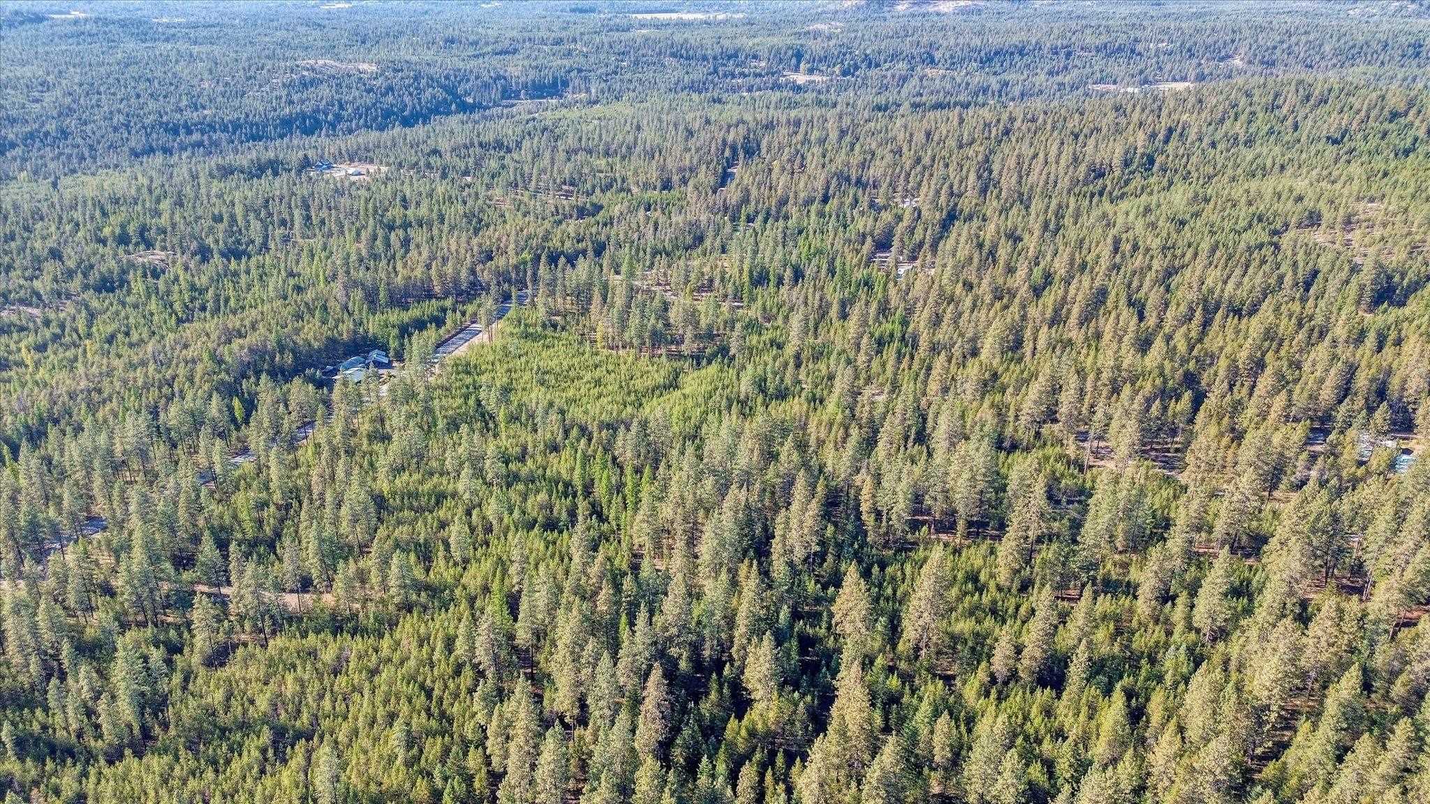 1-xxx Spring Valley Road Newport, WA 99156 - Photo 40 of 43