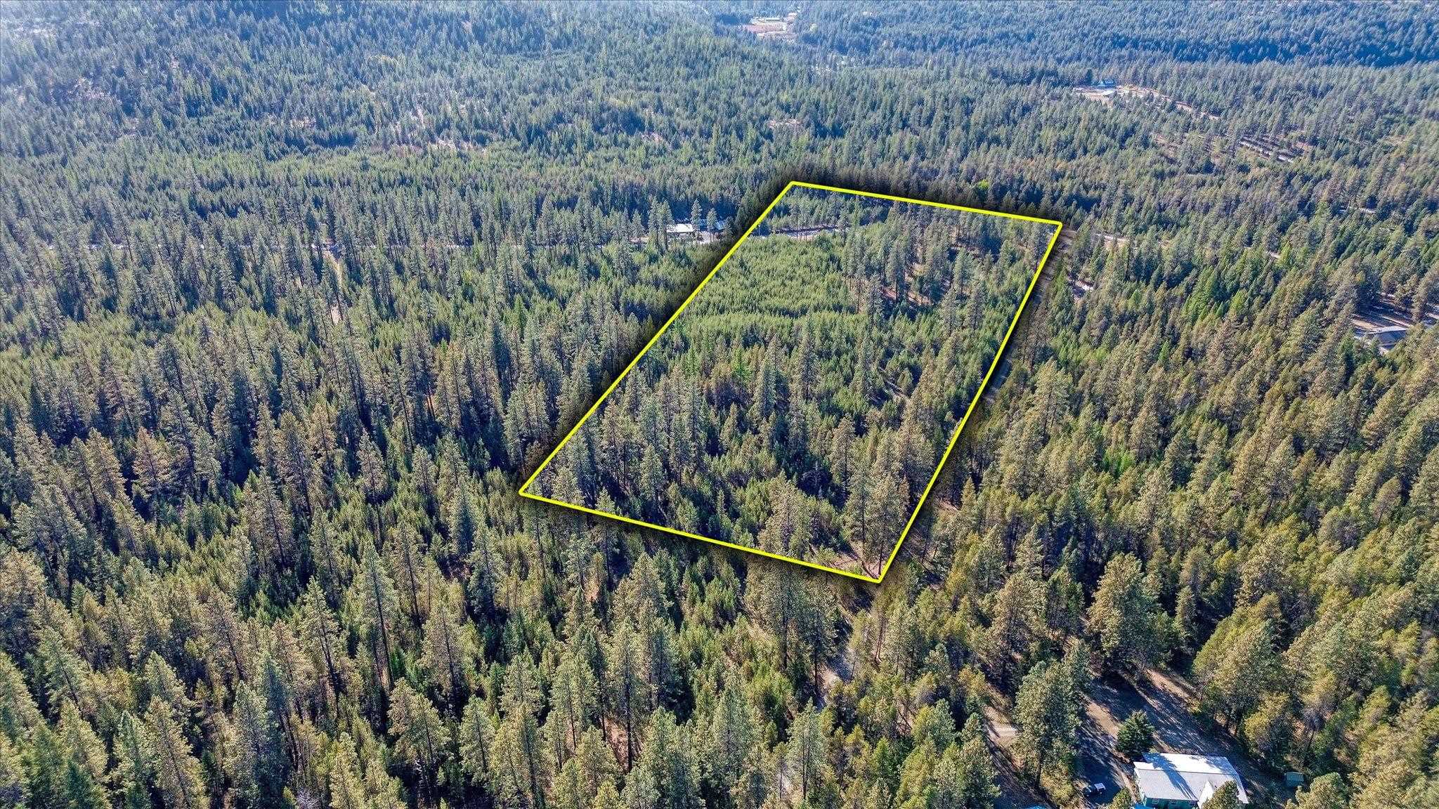 1-xxx Spring Valley Road Newport, WA 99156 - Photo 4 of 43