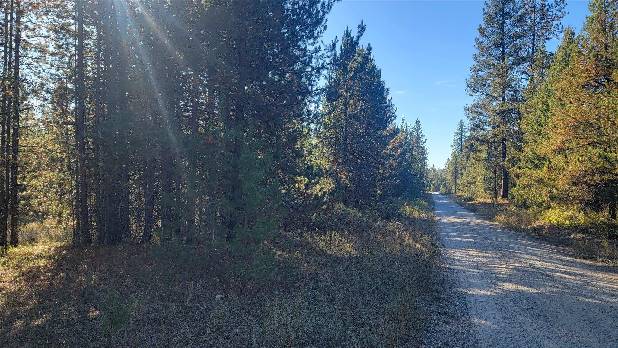 1-xxx Spring Valley Road Newport, WA 99156 - Photo 6 of 43