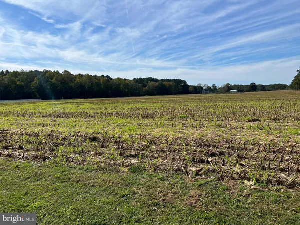 a view of a field with an ocean and trees