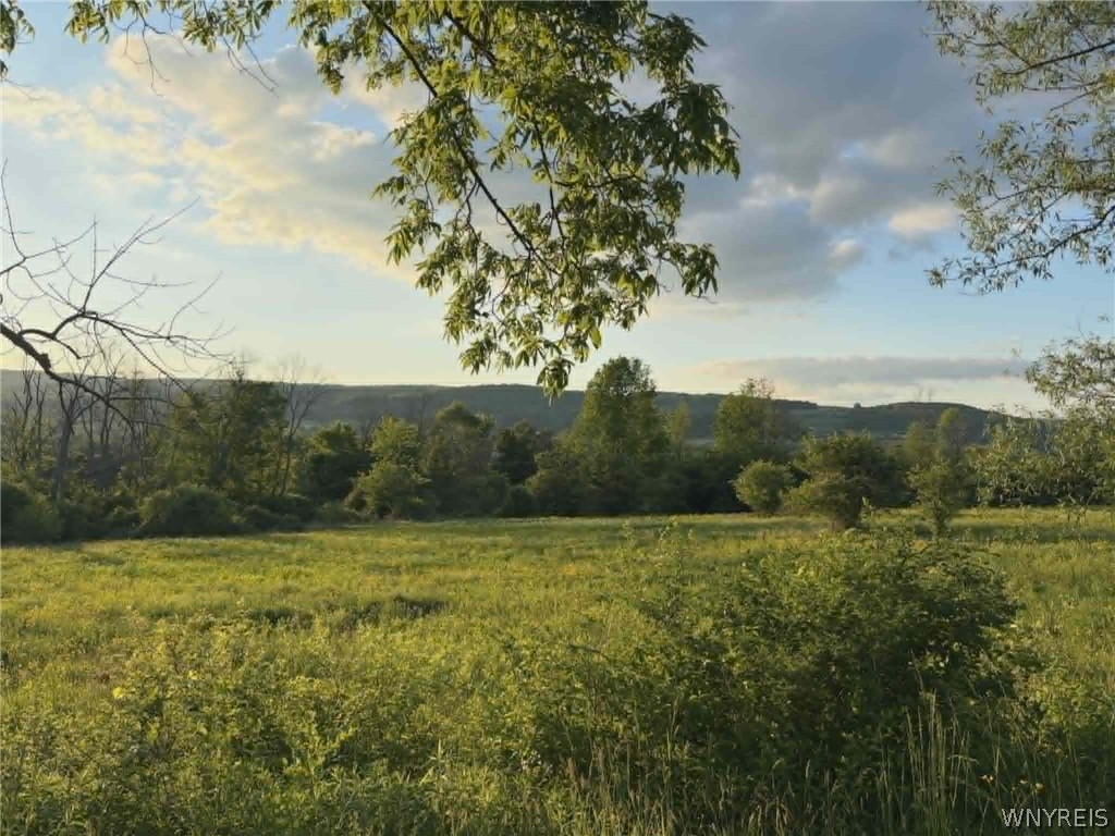 Spring Valley Road Black Creek, NY 14714 - Photo 15 of 17 Gallery Image 15