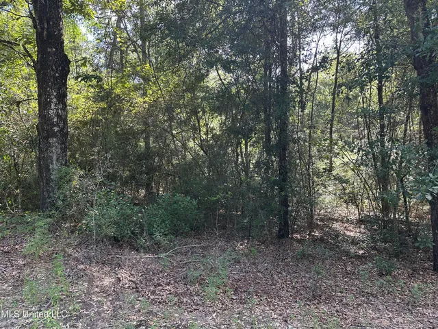 $31,570 | Lazy B Road, Lumberton, MS 39455