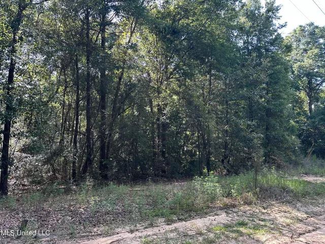 $31,570 | Lazy B Road, Lumberton, MS 39455