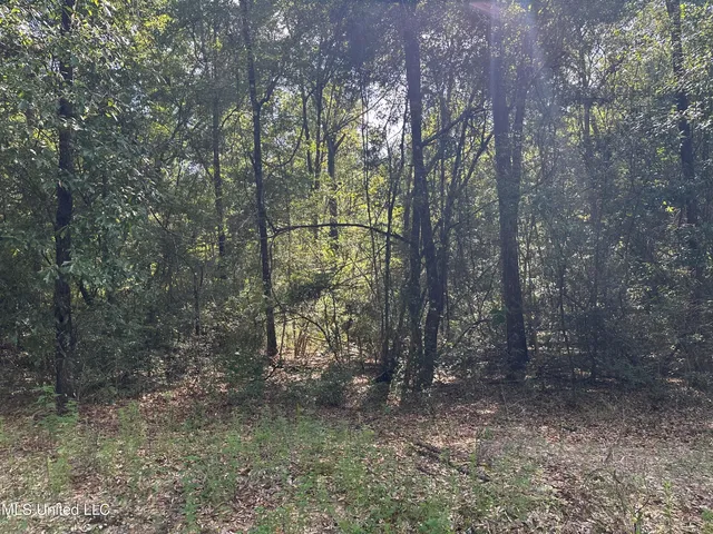 $31,570 | Lazy B Road, Lumberton, MS 39455