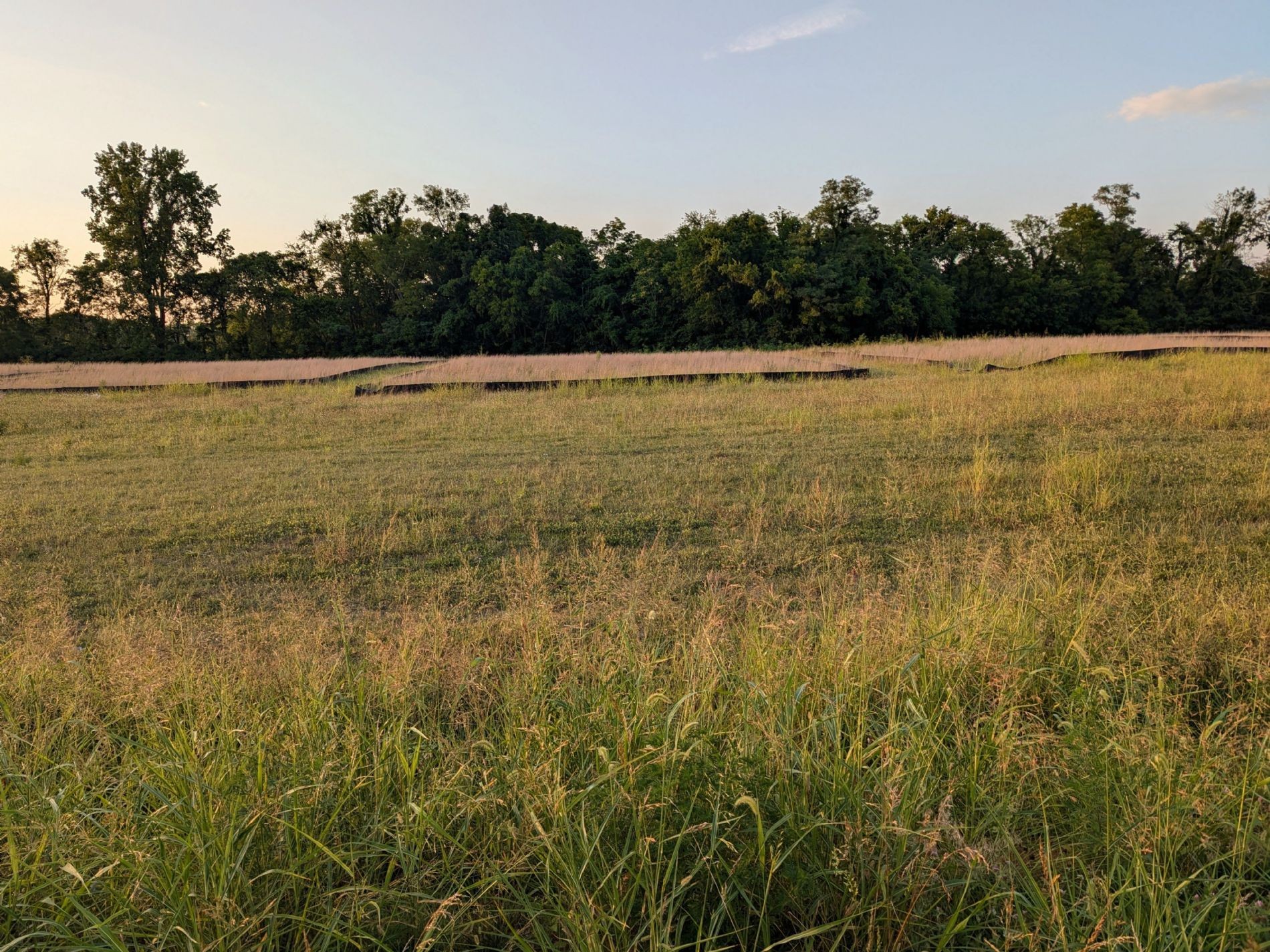 1522 Frye Road Columbia, TN 38401 - Photo 4 of 5 Gallery Image 4